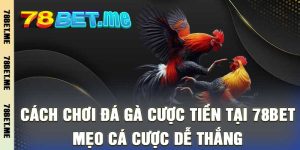 Cách Chơi Đá Gà Cược Tiền Tại 78bet - Mẹo Cá Cược Dễ Thắng