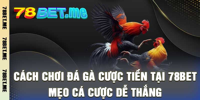 Cách Chơi Đá Gà Cược Tiền Tại 78bet - Mẹo Cá Cược Dễ Thắng